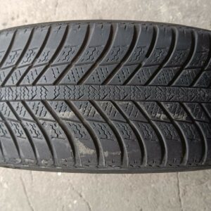 Pneumatico Singolo Nexen 195/55/R16
