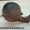 Faro - Fanale Moto Vintage - immagine 6