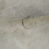 Paraurti Posteriore Ford Fiesta Anno 2002 - immagine 10