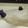 Vaschetta Liquido Lava Vetri Fiat Punto Mk2 - immagine 9