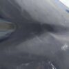 Cofano Anteriore Mercedes Cl 203 - immagine 4