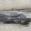 PARAFANGO POSTERIORE APRILIA RS 50 EXTREMA - immagine 5