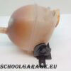 Vaschetta Liquido Refrigerante Fiat Croma Anno 2006 - immagine 8
